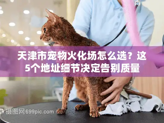 天津市宠物火化场怎么选?这5个地址细节决定告别质量 天津市宠物火化场怎么选?这5个地址细节决定告别质量
