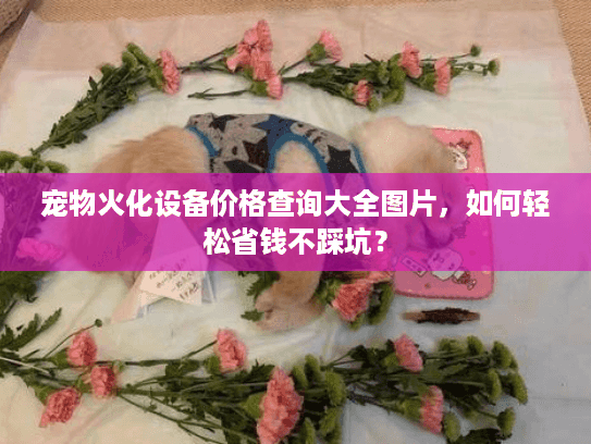 宠物火化设备价格查询大全图片，如何轻松省钱不踩坑？
