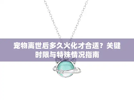 宠物离世后多久火化才合适？关键时限与特殊情况指南