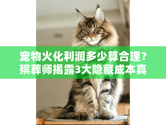 宠物火化利润多少算合理？殡葬师揭露3大隐藏成本真相