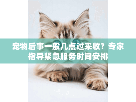 宠物后事一般几点过来收？专家指导紧急服务时间安排