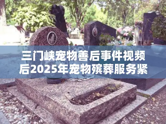 三门峡宠物善后事件视频后2025年宠物殡葬服务紧急避坑行动