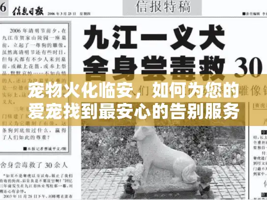 宠物火化临安，如何为您的爱宠找到最安心的告别服务？