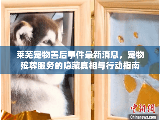 莱芜宠物善后事件最新消息，宠物殡葬服务的隐藏真相与行动指南