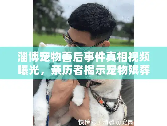 淄博宠物善后事件真相视频曝光，亲历者揭示宠物殡葬服务暗坑陷阱