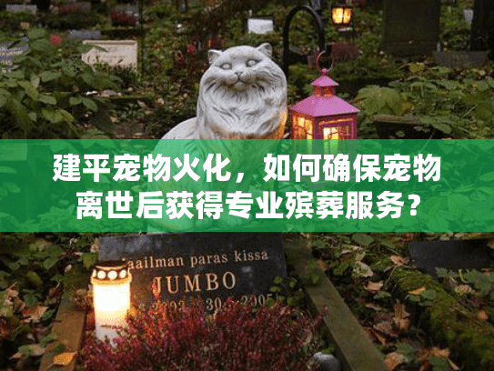 建平宠物火化，如何确保宠物离世后获得专业殡葬服务？
