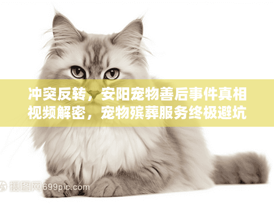 冲突反转，安阳宠物善后事件真相视频解密，宠物殡葬服务终极避坑指南