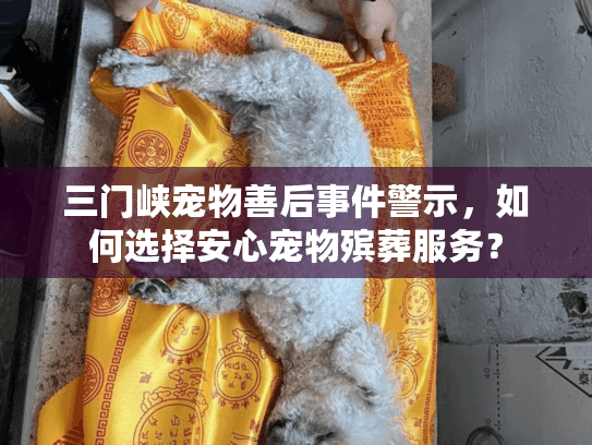 三门峡宠物善后事件警示，如何选择安心宠物殡葬服务？