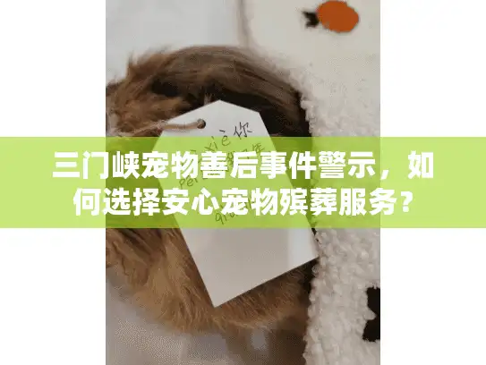 三门峡宠物善后事件警示，如何选择安心宠物殡葬服务？