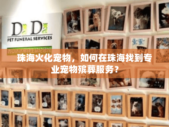 珠海火化宠物，如何在珠海找到专业宠物殡葬服务？