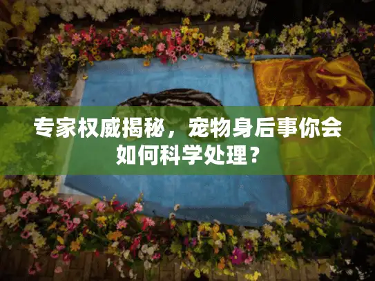 专家权威揭秘,宠物身后事你会如何科学处理? 专家权威揭秘,宠物身后事你会如何科学处理?