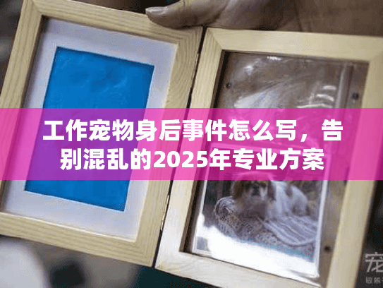 工作宠物身后事件怎么写，告别混乱的2025年专业方案