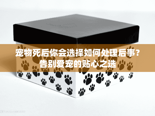 宠物死后你会选择如何处理后事？告别爱宠的贴心之选