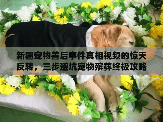 新疆宠物善后事件真相视频的惊天反转，三步避坑宠物殡葬终极攻略
