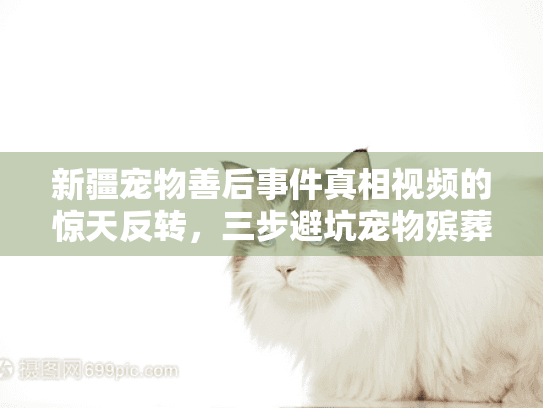 新疆宠物善后事件真相视频的惊天反转，三步避坑宠物殡葬终极攻略