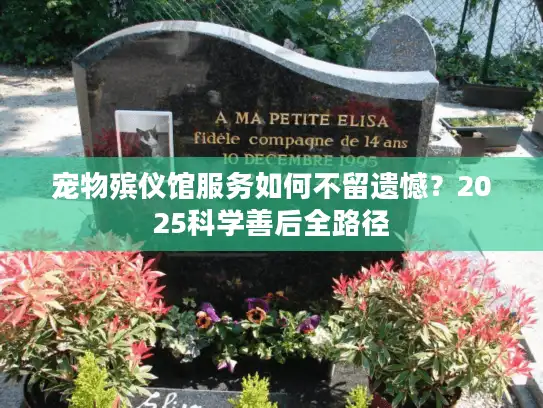 宠物殡仪馆服务如何不留遗憾？2025科学善后全路径