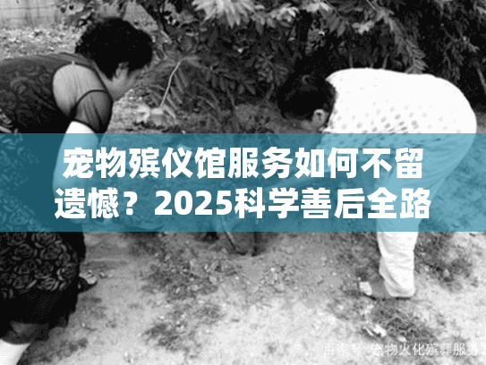 宠物殡仪馆服务如何不留遗憾？2025科学善后全路径