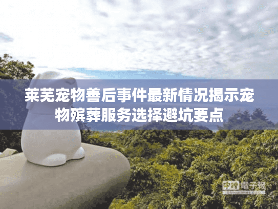 莱芜宠物善后事件最新情况揭示宠物殡葬服务选择避坑要点