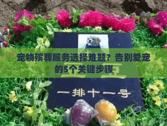 宠物殡葬服务选择难题？告别爱宠的5个关键步骤