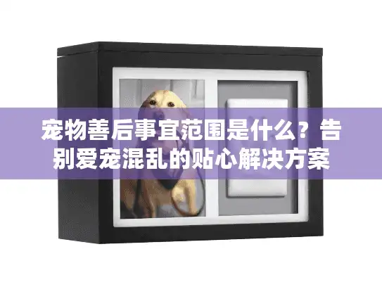 宠物善后事宜范围是什么？告别爱宠混乱的贴心解决方案