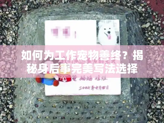 如何为工作宠物善终？揭秘身后事完美写法选择