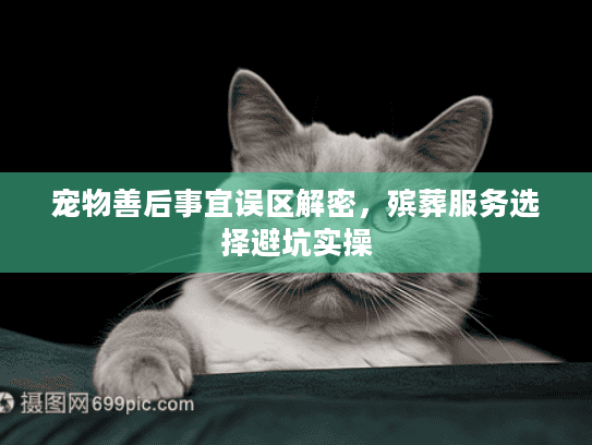 宠物善后事宜误区解密，殡葬服务选择避坑实操