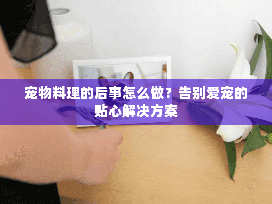 宠物料理的后事怎么做？告别爱宠的贴心解决方案