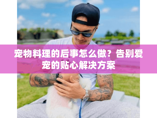 宠物料理的后事怎么做？告别爱宠的贴心解决方案
