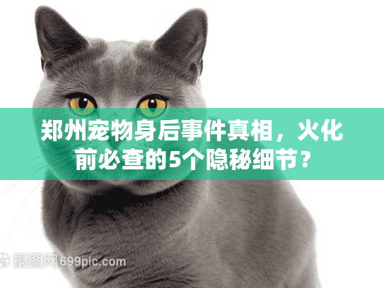 郑州宠物身后事件真相，火化前必查的5个隐秘细节？