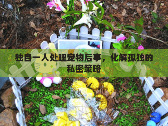 独自一人处理宠物后事,化解孤独的私密策略 独自一人处理宠物后事,化解孤独的私密策略