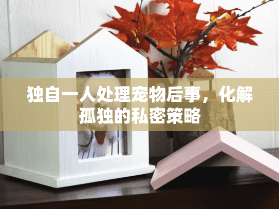 独自一人处理宠物后事,化解孤独的私密策略 独自一人处理宠物后事,化解孤独的私密策略