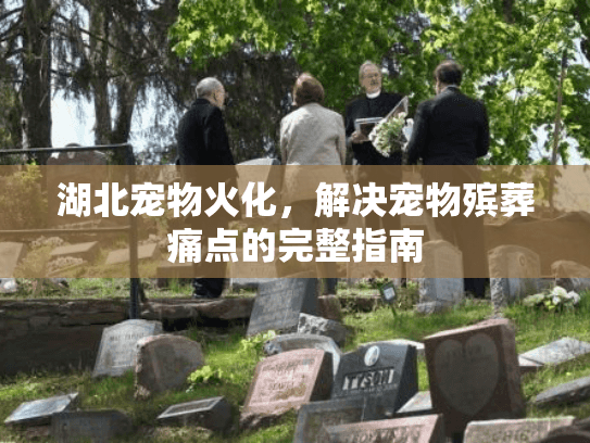 湖北宠物火化，解决宠物殡葬痛点的完整指南