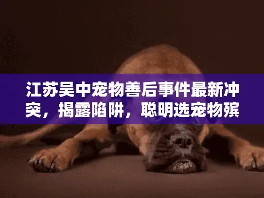 江苏吴中宠物善后事件最新冲突,揭露陷阱,聪明选宠物殡葬服务 江苏吴中宠物善后事件最新冲突,揭露陷阱,聪明选宠物殡葬服务