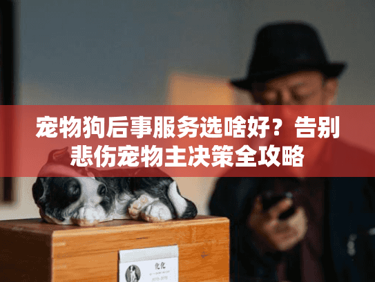 宠物狗后事服务选啥好？告别悲伤宠物主决策全攻略