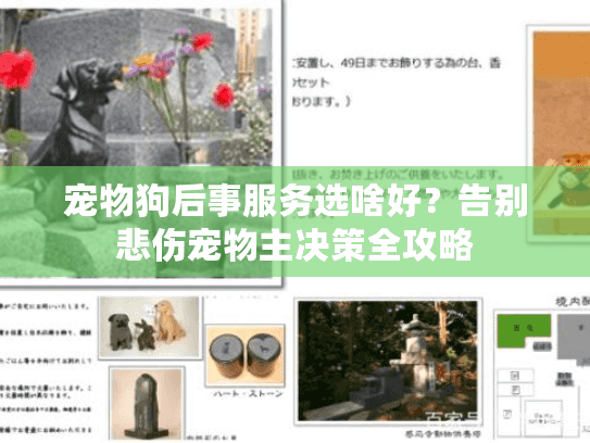宠物狗后事服务选啥好？告别悲伤宠物主决策全攻略