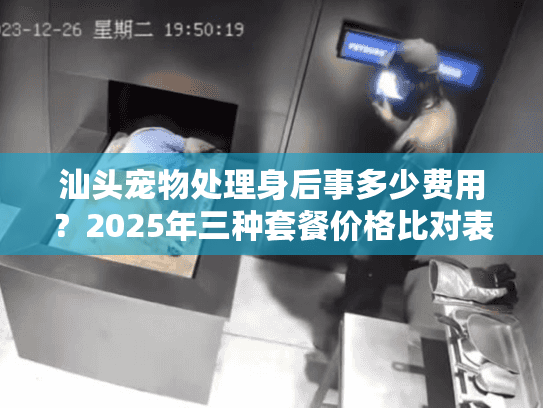 汕头宠物处理身后事多少费用？2025年三种套餐价格比对表