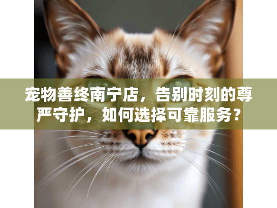 宠物善终南宁店，告别时刻的尊严守护，如何选择可靠服务？