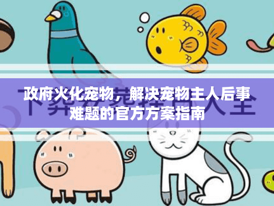 政府火化宠物，解决宠物主人后事难题的官方方案指南