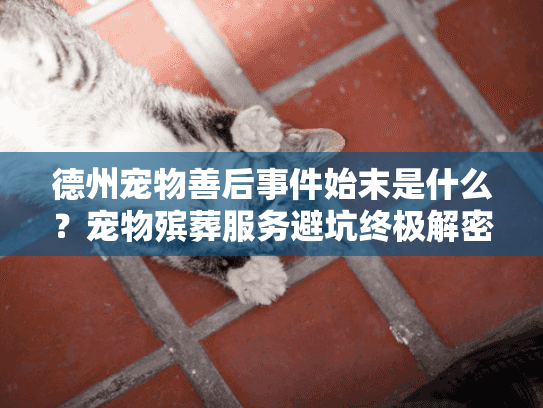 德州宠物善后事件始末是什么？宠物殡葬服务避坑终极解密
