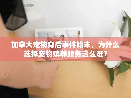 加拿大宠物身后事件始末，为什么选择宠物殡葬服务这么难？