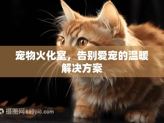 宠物火化室,告别爱宠的温暖解决方案 宠物火化室,告别爱宠的温暖解决方案
