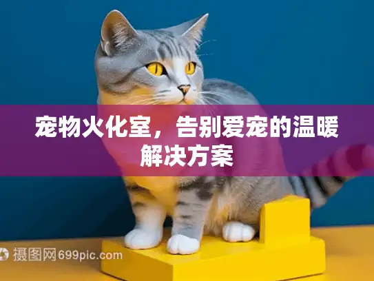 宠物火化室,告别爱宠的温暖解决方案 宠物火化室,告别爱宠的温暖解决方案