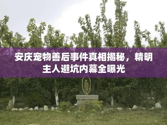 安庆宠物善后事件真相揭秘，精明主人避坑内幕全曝光