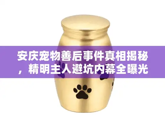 安庆宠物善后事件真相揭秘，精明主人避坑内幕全曝光