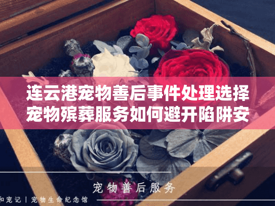 连云港宠物善后事件处理选择宠物殡葬服务如何避开陷阱安心送别