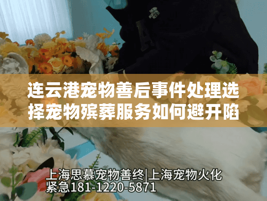 连云港宠物善后事件处理选择宠物殡葬服务如何避开陷阱安心送别