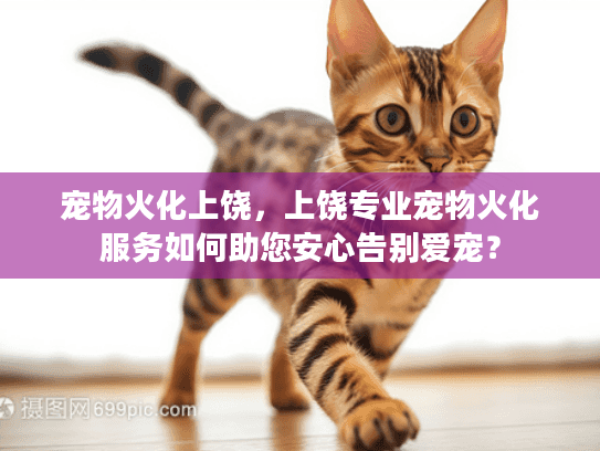 宠物火化上饶，上饶专业宠物火化服务如何助您安心告别爱宠？