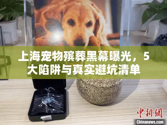 上海宠物殡葬黑幕曝光，5大陷阱与真实避坑清单