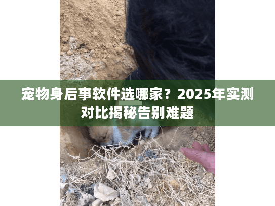 宠物身后事软件选哪家？2025年实测对比揭秘告别难题