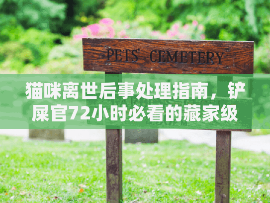 猫咪离世后事处理指南，铲屎官72小时必看的藏家级方案